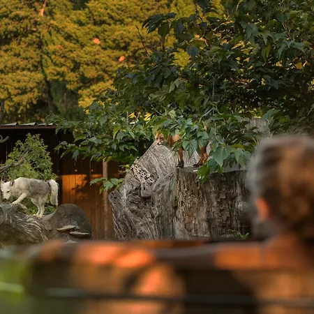 Les Animaux Et Marino Lodge